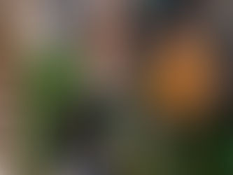 今日のまるしぇ♪