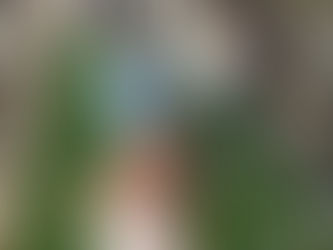 今日のまるしぇ♪