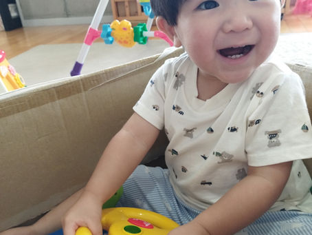 今日のまるしぇ♪