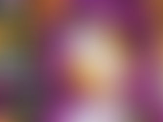 今日のまるしぇ♪