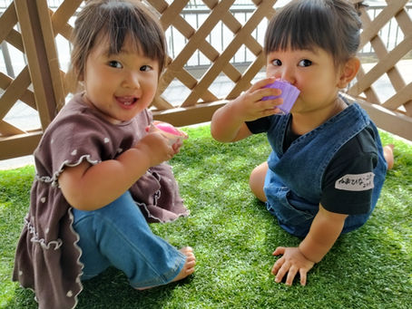 今日のまるしぇ♪