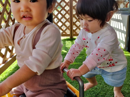 今日のまるしぇ♪