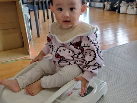 今日のまるしぇ♪