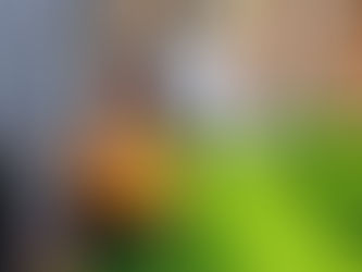 今日のまるしぇ♪