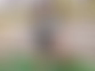 今日のまるしぇ♪