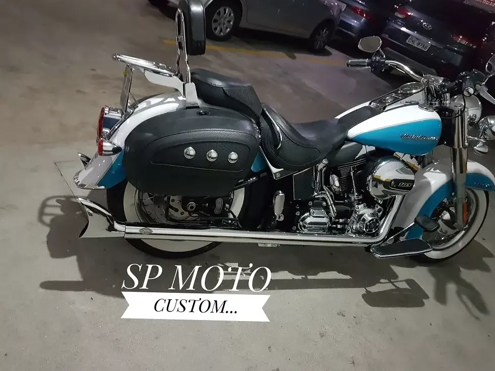 Miniatura: ESCAPAMENTO FISHTAIL HERITAGE 2006 A 2011 TORBAL