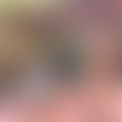 Meet the Designer, Michelle!