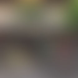 Spring Cleaning | Top Pins of the Week