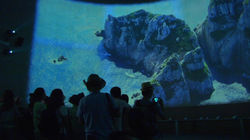 여수엑스포 스카이타워.jpg