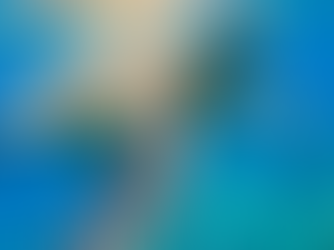 World Sea Turtle Day: Honouring Ancient Mariners and Protecting Their Future