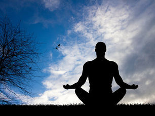 International Yoga Day 2025: Rooted in Stillness, Rising in Harmony