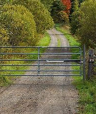 gate.jpeg