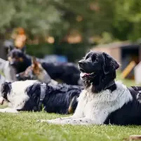 stock image training.webp