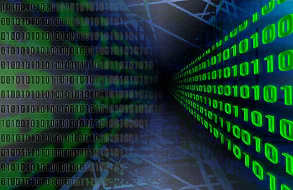 Swarovski & Levi’s Find the Right Fit for Data