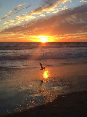 venice beach sunset