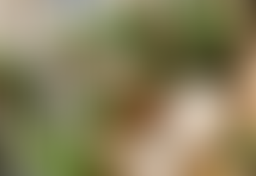 Balcon avec plantes et fleurs diverses, un fauteuil pur s'y reposer et un miroir pour accentuer le Chi