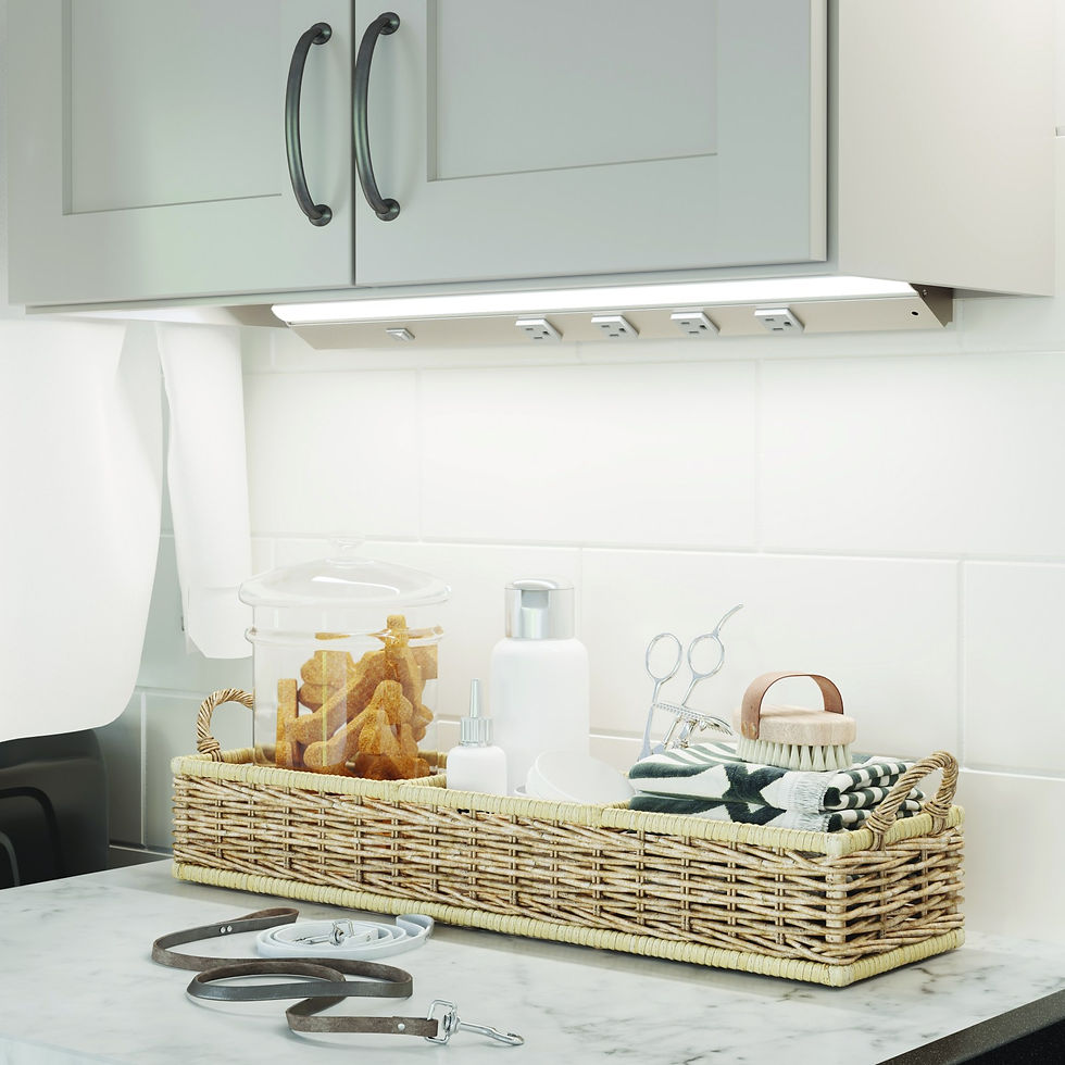 Lighted power strip with several outlets mounted under gray shaker upper cabinets, above a marble counter with a wicker basket of pet grooming supplies