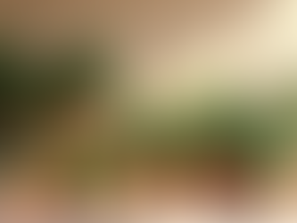 Connect with Nature: Explore Nilaway's Online Plant Shop