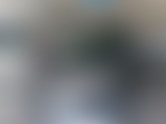 40アルファード Grgo&オーサーアラームIGLA2+