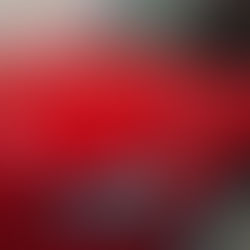 ボルボV60 FEYNLAB セラミックコーティング施工
