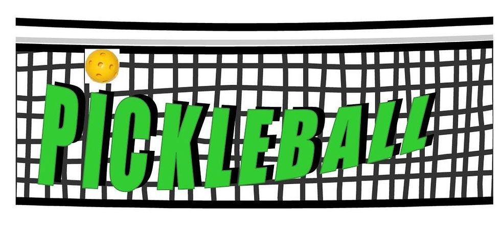 Habersham County Pickleball Club - Ladies Drill Group