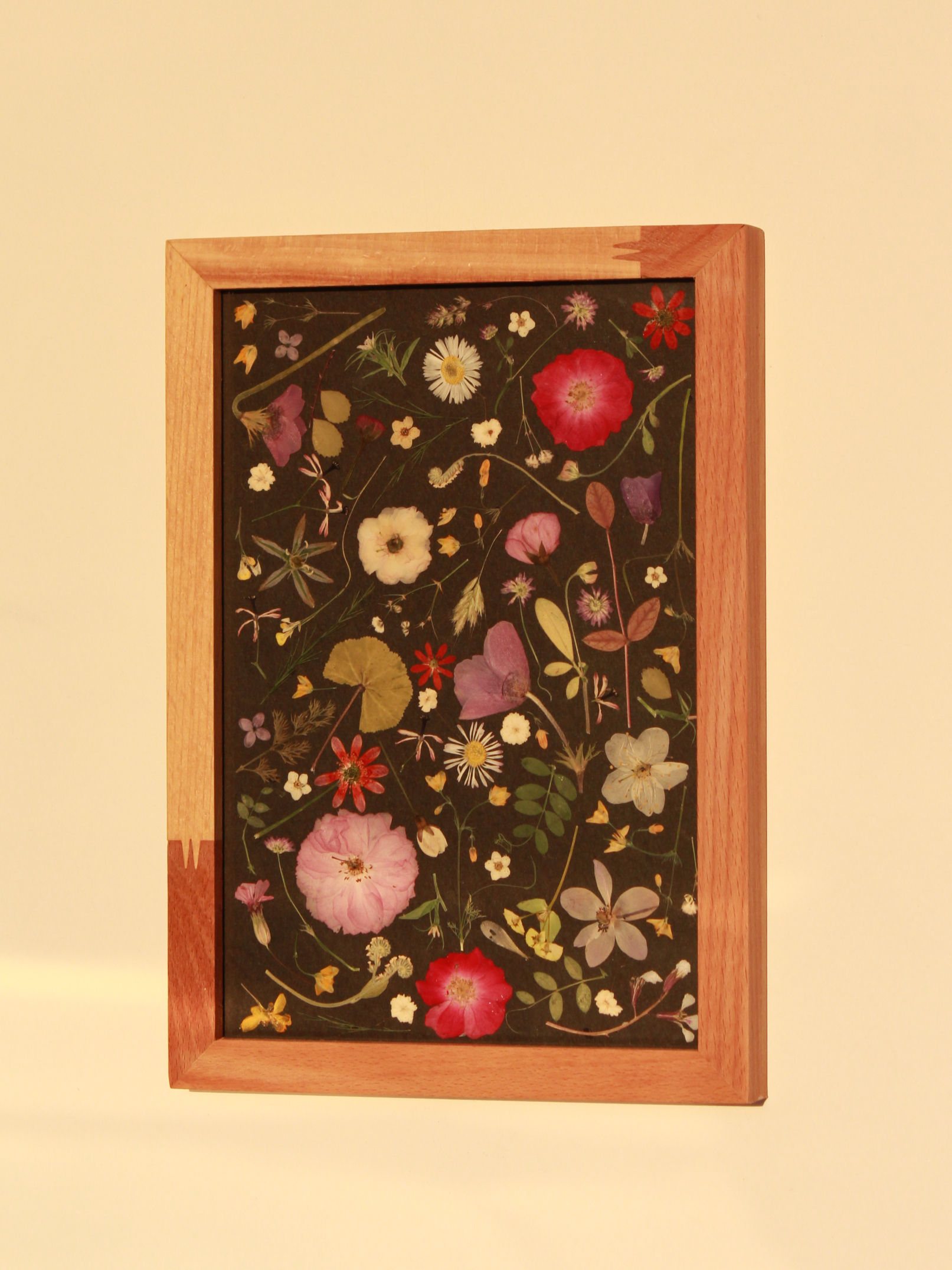 Ahşap Çerçeve Herbarium