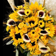 image14 (4)_edited.jpg