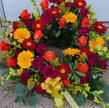 IMG_4737_edited.jpg