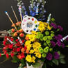IMG_4760_edited.jpg