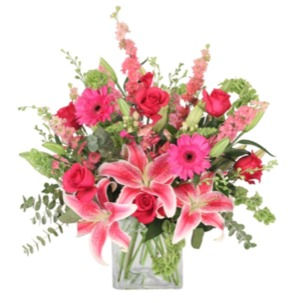 image0 (2)_edited.jpg