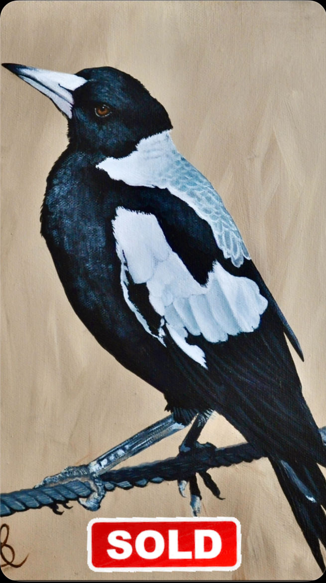 Mrs Pie
30cm x 40cm x 3.7cm
Acrylic on Canvas