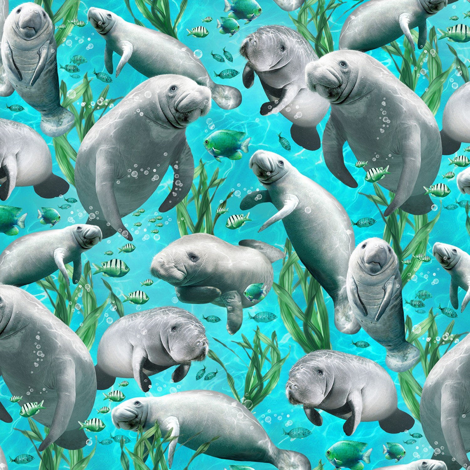 Timeless Treasures, Blue - Manatee