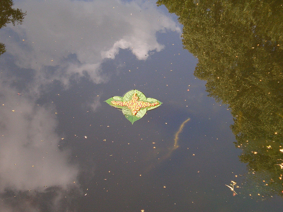 La croix (dérive 2)