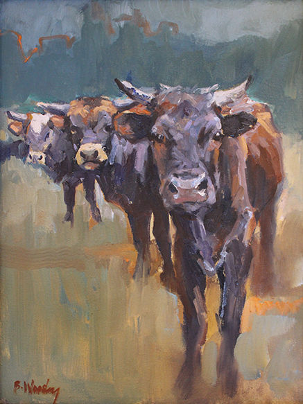 Curious (SOLD)