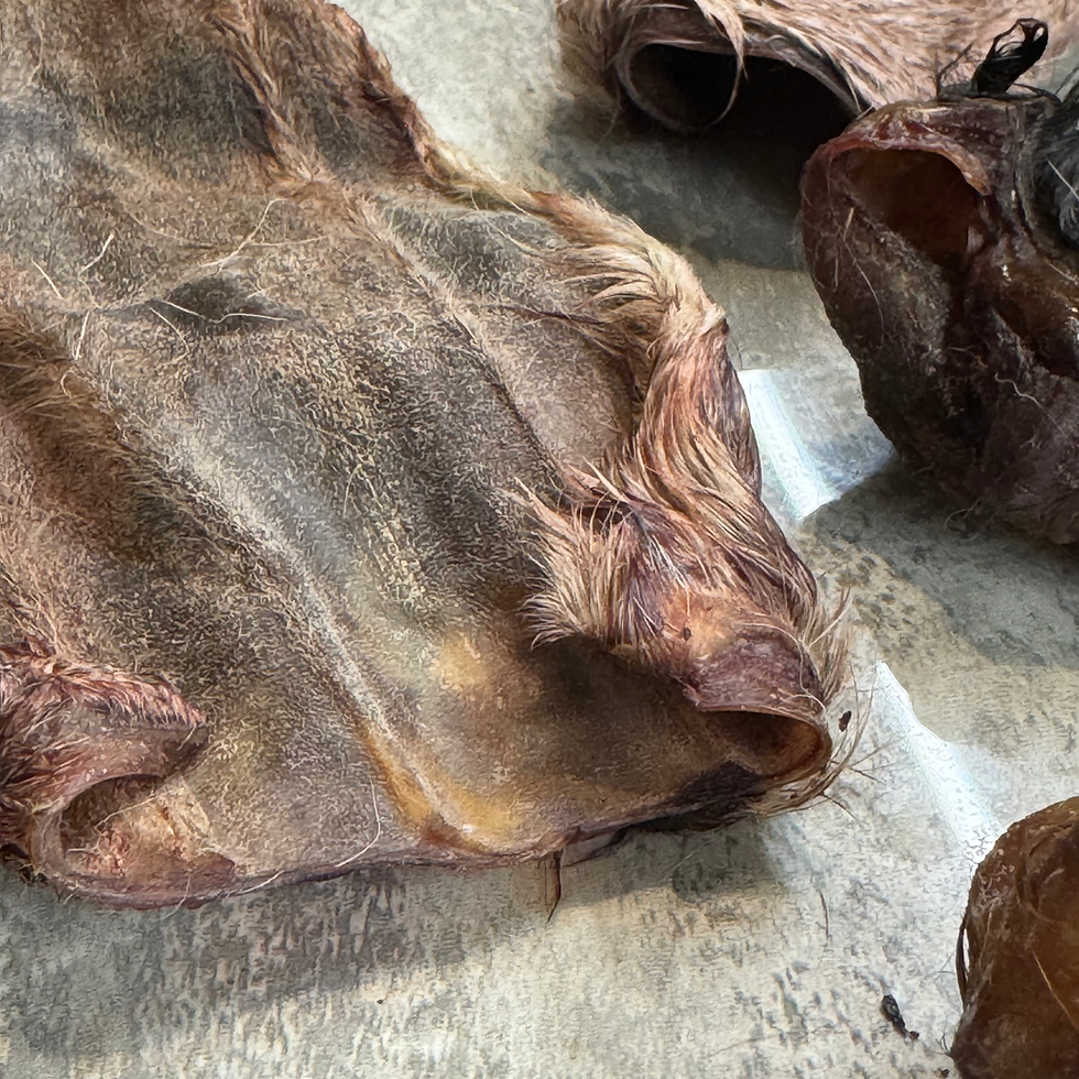 Thumbnail: Dried Goat Ears