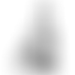 $35 2pc carry on luggage