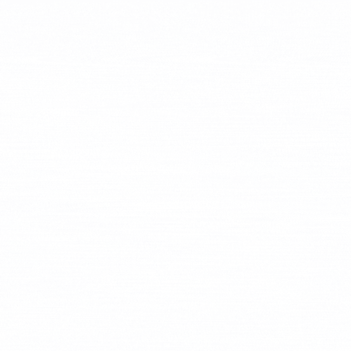 shne (2).gif
