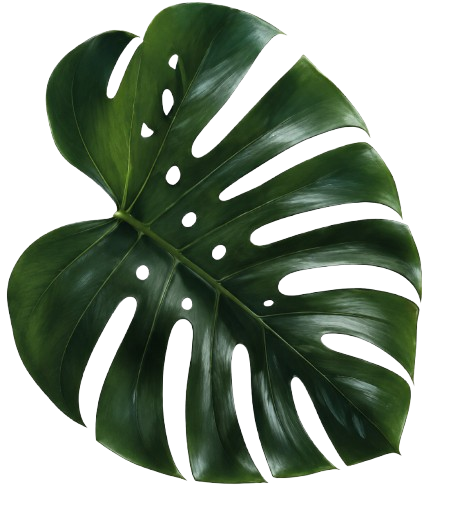 ChatGPT_Image_May_26__2026__07_49_16_AM-removebg-preview.png