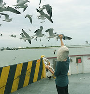 Pic with Birds.jpg