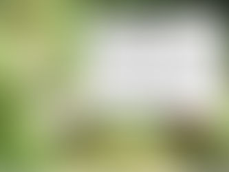 眠れない夜には、とっておきのツボにお灸を