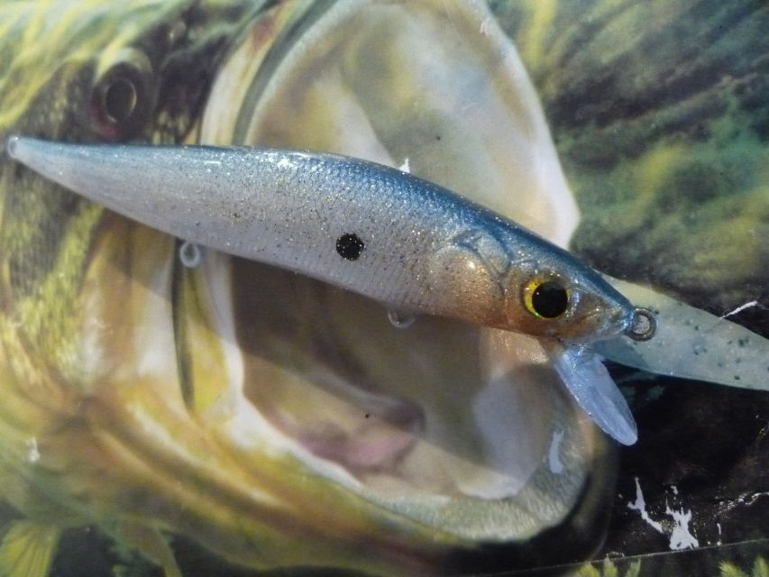 Megabass Style Jerkbaits - Blue with Gold Front