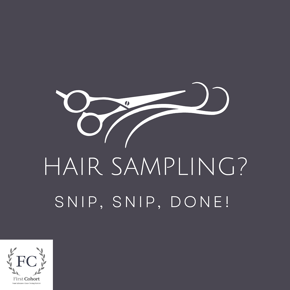 What is Hair Drug Testing and what purpose does it have?