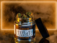 The Clementine Strain: A Popular Choice