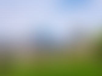 illicit cannabis kansas city