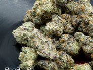 The Peach Crescendo Strain: Everything You Need to Know 