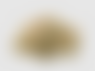 Get Cooked with our New Todd Burger Strain