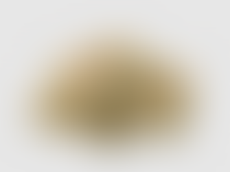 Get Cooked with our New Todd Burger Strain