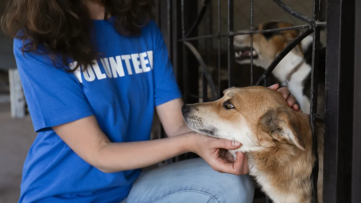 Adult Volunteers SPCA of Northeastern North Carolina