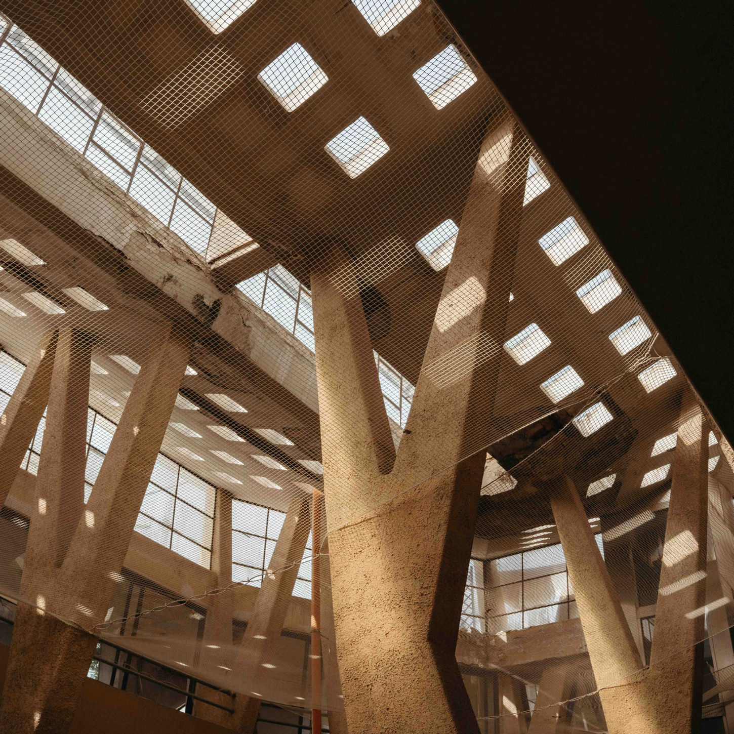 Low-angle shot of a modern architectural building interior with concrete support pillars and large windows casting dramatic shadows.