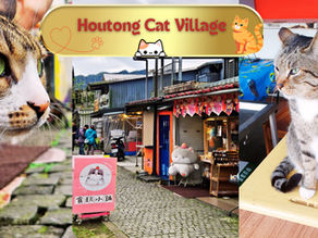 The Houtong Cat Village is an ex-coal mining park transformed into a picturesque, cat haven.